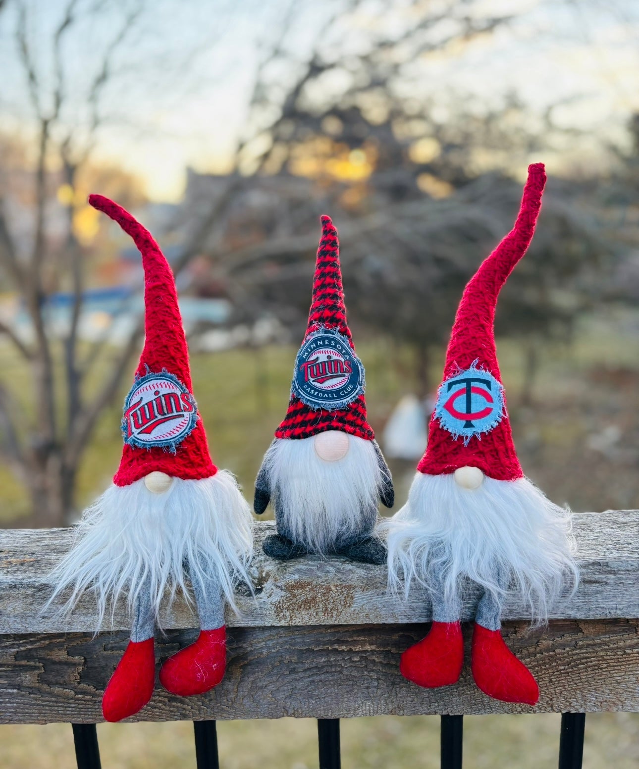 Minnesota Wild hockey gnomes Home decor Red