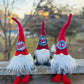 Minnesota Wild hockey gnomes Home decor Red